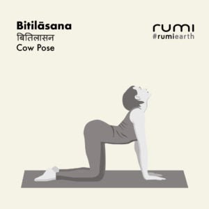 BITILĀSANĀ (COW POSE)