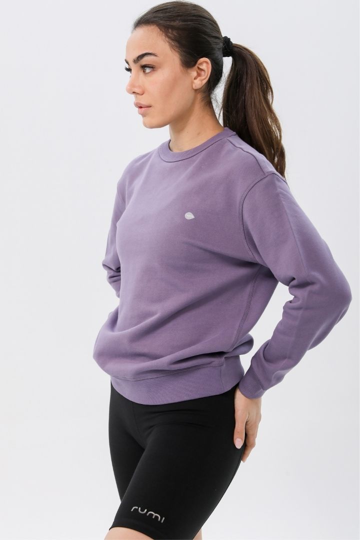 Rumi Earth Moon Sweatshirt - Ash Plum 5